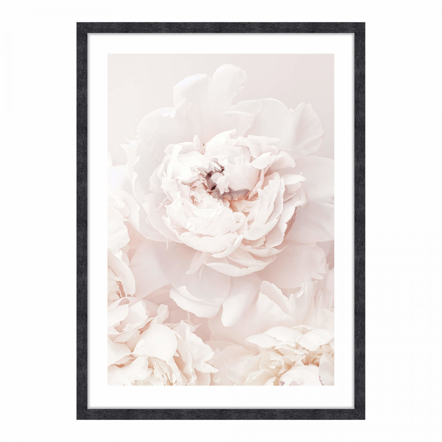 

Картина в раме PosterMarket Белые пионы 50*70 см