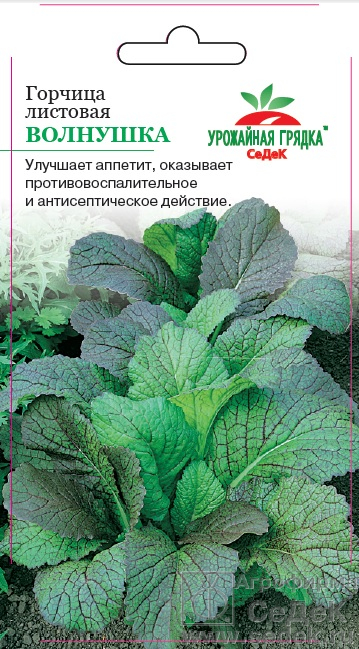 

Пряность Горчица Волнушка (лист). Евро, 1