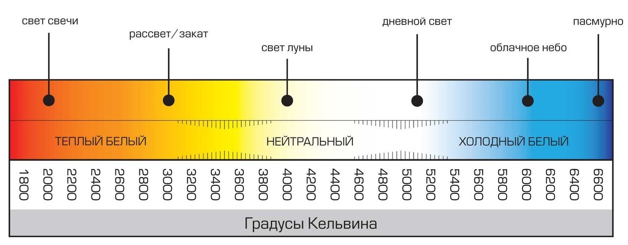 Светодиодная лампа SWEKO 42LED-GX53-10W-230-6500K-GX53