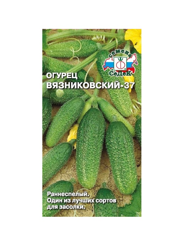 

Огурец Вязниковский 37 о/г (ранний, ПО, ОГ, 9-11см, 80-130г, плотн, стабил.урож, один из лучших для