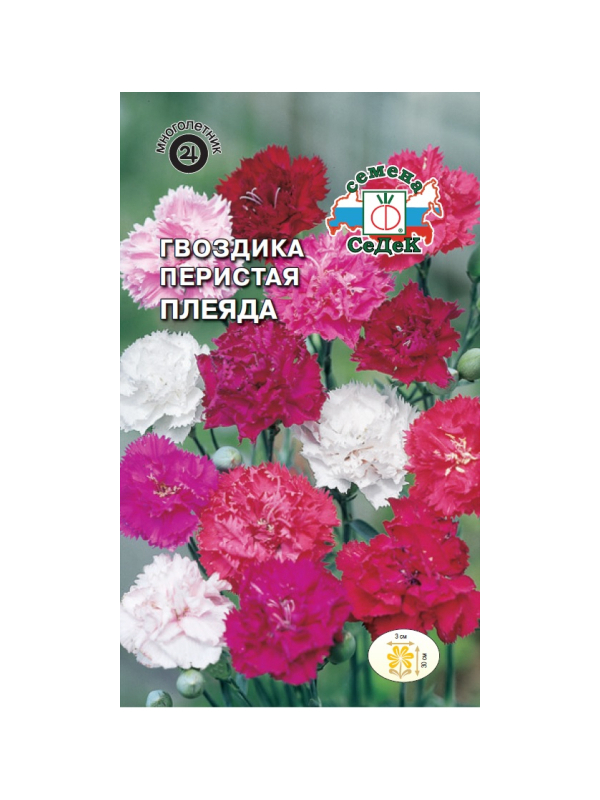 

цветок Гвоздика Плеяда (перистая, смесь белая, розовая, пурпурная) . Евро, 0,3
